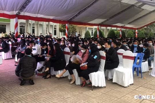 Phú Thọ: Hơn 500 khách hàng tập trung tham gia đấu giá đất trong mùa dịch