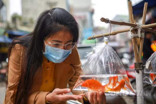 Nhộn nhịp cảnh người dân đi sắm "phương tiện" tiễn ông Táo về trời bất chấp giá cả