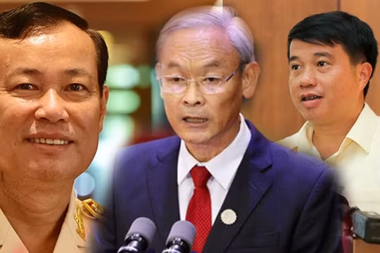 Quốc hội kiện toàn Chủ tịch Hội đồng Dân tộc, Chủ nhiệm Ủy ban của Quốc hội