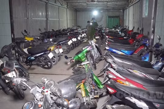 Phát hiện hàng trăm mô tô không giấy tờ, không chính chủ trong tiệm cầm đồ ở An Giang