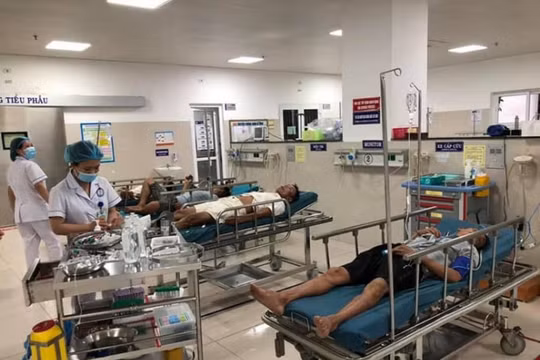 4 thanh niên ngộ độc vì uống nhầm rượu ngâm mã tiền
