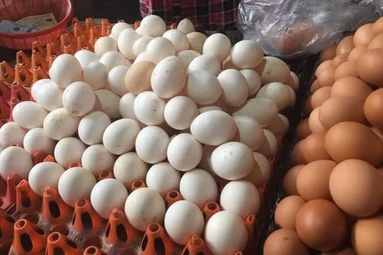 Mỳ ăn liền “cháy hàng”, trứng gia cầm tăng mạnh trong mùa dịch