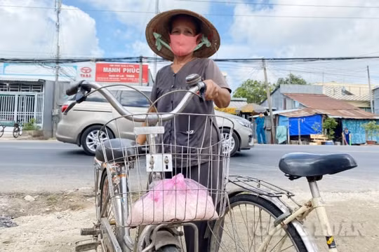 Vận động trên 300 tấn gạo tặng hộ nghèo, chi 12 tỷ đồng hỗ trợ người bán vé số