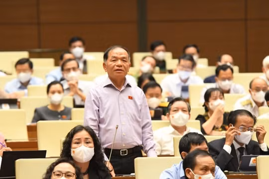 Giám sát việc bổ nhiệm, luân chuyển cán bộ để Quốc hội, Chính phủ "xốc" lại bộ máy