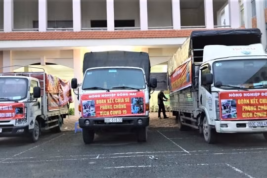 Đồng Nai: Lập đường dây nóng, giải quyết kịp thời khó khăn cho nông sản
