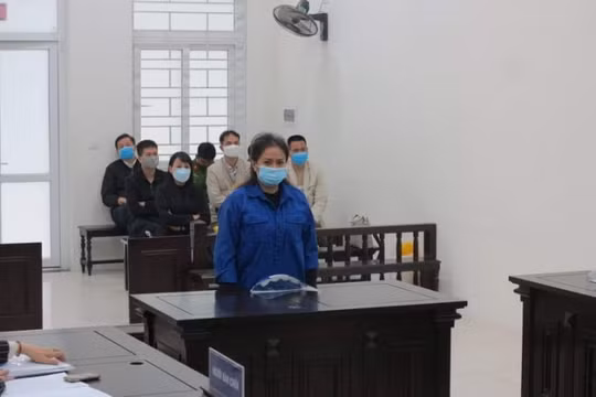 18 năm tù cho “nữ quái” lừa bán đất dự án, chiếm đoạt gần 18 tỷ đồng