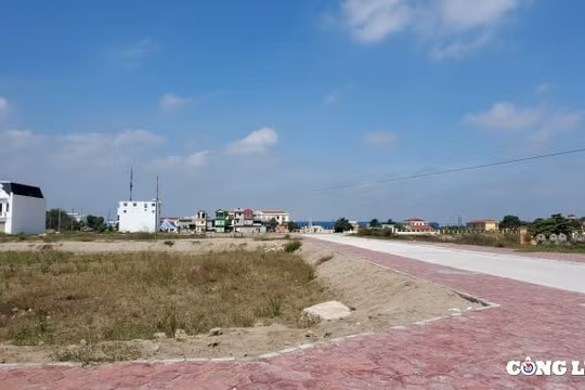Vụ doanh nghiệp nợ thuế vẫn trúng thầu: Công ty Phú Phương có dấu hiệu gian lận hồ sơ năng lực?