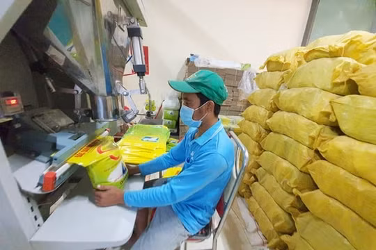 Thương hiệu gạo ST25 bị doanh nghiệp ngoại “nhanh chân” đăng ký tại Mỹ