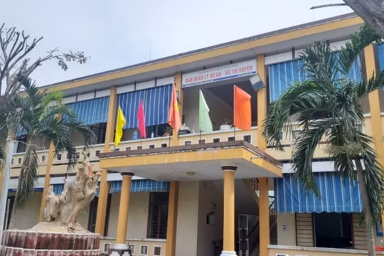 Dàn xếp đấu thầu, giám đốc BQL huyện và phó giám đốc doanh nghiệp sẽ bị xử lý như thế nào?