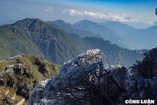 Băng tuyết Sa Pa chưa xuất hiện nhưng rét hại kéo dài