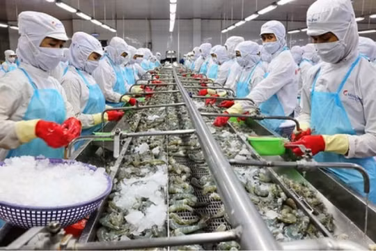 Ngành thủy sản: Kinh doanh thuận lợi, cổ phiếu nhiều doanh nghiệp bật tăng