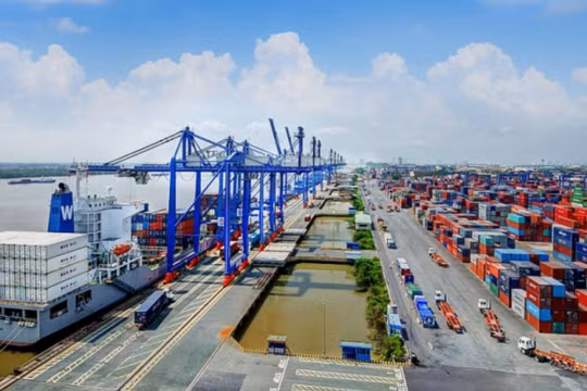UBND TP. HCM đề nghị lùi thời gian thu phí hạ tầng cảng biển