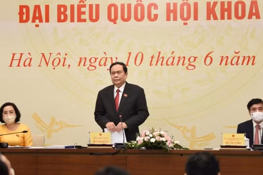 Có 4 trường hợp tự ứng cử đã trúng cử đại biểu Quốc hội khóa XV