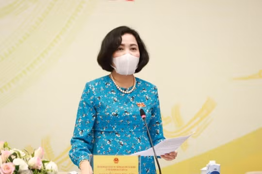 Chưa có kết luận vi phạm pháp luật của hai ứng viên ĐBQH Nguyễn Quang Tuấn, Nguyễn Thế Anh