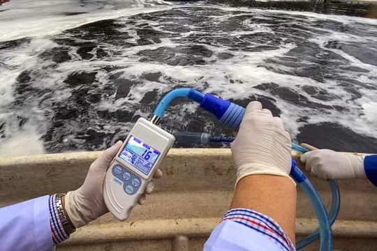 Sau 7 ngày thí điểm xử lý, bãi rác Nam Sơn đã có kết quả giảm mùi hơn 90%