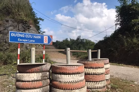 Hàng chục mạng người thoát nguy nhờ đường cứu nạn
