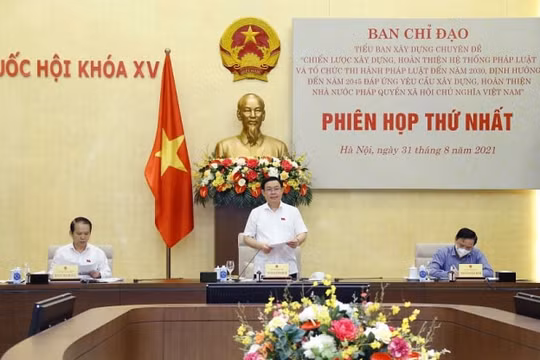 Chủ tịch Quốc hội: Làm rõ khái niệm đặc thù nước “đang phát triển” để xây dựng chiến lược cho phù hợp