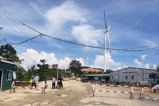 UBND tỉnh Quảng Trị chỉ đạo rà soát việc Nhà máy điện gió Ammaccao lấy đất của dân nhưng không đền bù