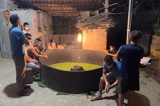 Phú Thọ: Tụ tập xem đá gà, 8 thanh niên bị đề xuất xử phạt 60 triệu đồng