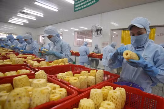 Năm 2021, xuất khẩu rau quả có thể cán mốc 4 tỷ USD