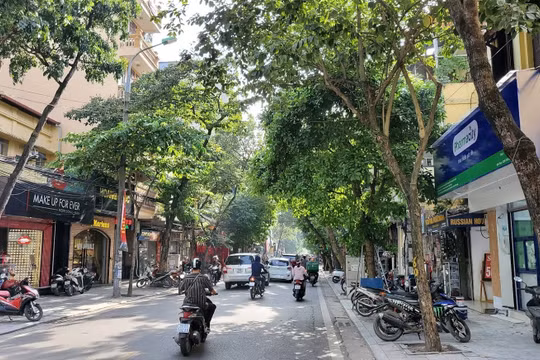 Chuyện lạ: “Nhà” siêu nhỏ phố cổ Hà Nội, chủ nhà rao bán chưa tới 3 triệu đồng/m2