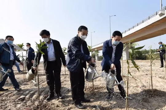 Hà Nội phấn đấu trồng hơn 300 nghìn cây xanh trong năm 2021
