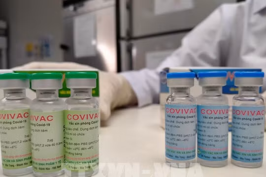 Tiêm thử nghiêm lâm sàng vắc xin COVIVAC giai đoạn 1 cho 120 tình nguyện viên