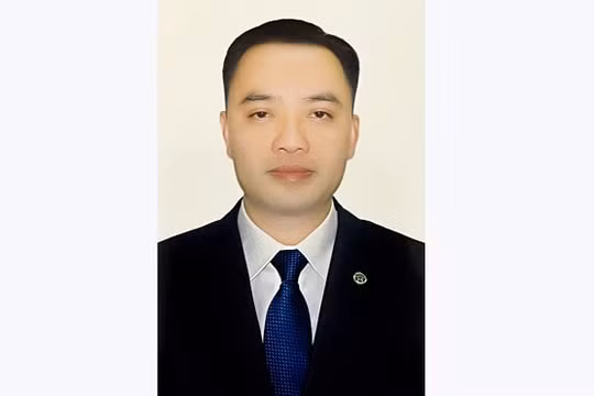 Thủ tướng bổ nhiệm Phó Chủ tịch chuyên trách HĐQL BHXH Việt Nam