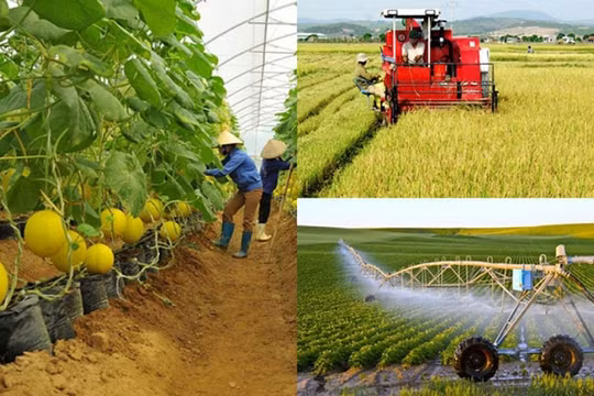 Quy chế hoạt động Ban Chỉ đạo tổng kết 20 năm đổi mới, phát triển và nâng cao hiệu quả kinh tế tập thể
