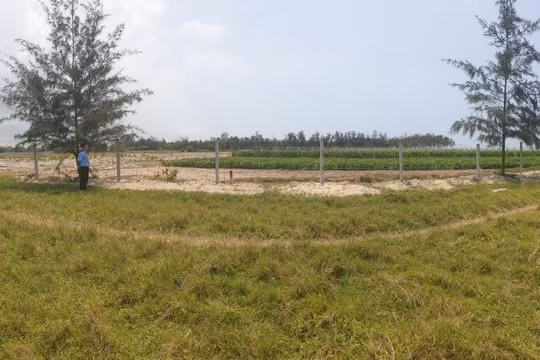 Một cá nhân bị phạt 350 triệu đồng vì lấn chiếm hơn 53 nghìn m2 đất dự án