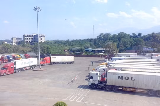 Lào Cai: "Bêu tên" nhiều doanh nghiệp nợ khủng thuế xuất nhập khẩu