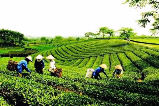 Bài ca sâu lắng về 'Thủ đô gió ngàn'