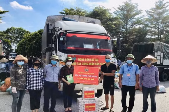 Nông dân tỉnh Lào Cai ủng hộ vùng dịch thủ đô Hà Nội hơn 55 tấn rau quả tươi