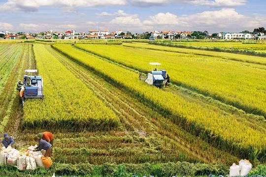 Hướng tới nền nông nghiệp có trách nhiệm