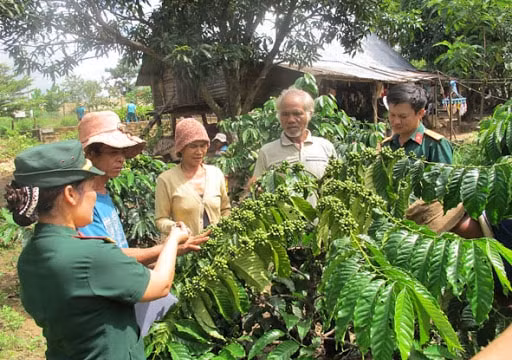 Xây dựng Khu kinh tế - quốc phòng nhằm tạo vành đai vững chắc bảo vệ Tổ quốc