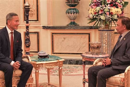 Singapore và Brunei ‘quan ngại sâu sắc' về Myanmar, EU trừng phạt 11 quan chức quân đội