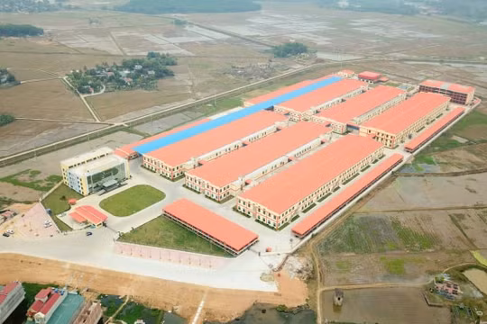 Thông tin về 2 trường hợp tử vong sau khi tiêm vắc-xin phòng COVID-19 ởThanh Hóa