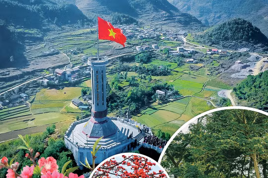 Rồi sẽ lại Xuân!