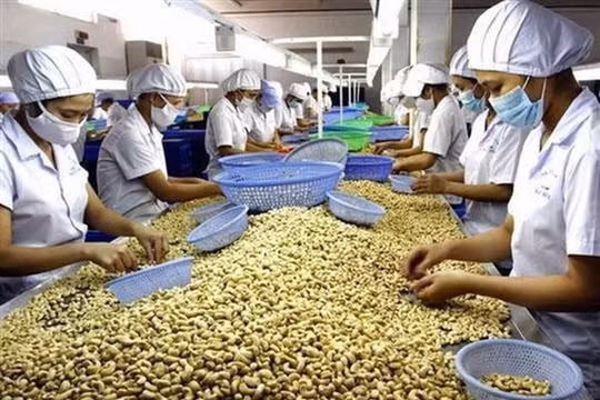 Năm 2021, ngành nông nghiệp đặt mục tiêu xuất khẩu 3,6 tỷ USD hạt điều