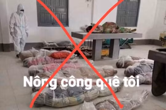 Thanh Hóa: Xử lý tài khoản facebook đăng tin không đúng sự thật về COVID-19 trên địa bàn huyện Nông Cống
