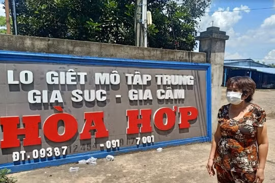 Đồng Nai: Vì sao huyện Xuân Lộc yêu cầu 2 lò giết mổ không được mổ heo cho Vissan?