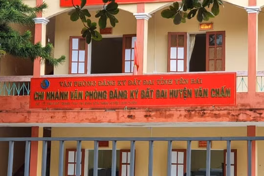Yên Bái: Làm trái để vụ lợi, Chủ tịch Hội Nông dân huyện Văn Chấn bị khởi tố