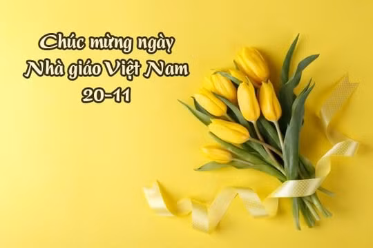 Những lời chúc hay ngày Nhà giáo Việt Nam 20/11