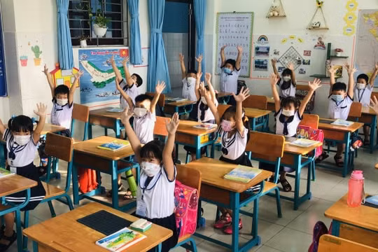 TP. HCM: Thanh tra hàng loạt trung tâm ngoại ngữ ngoài công lập