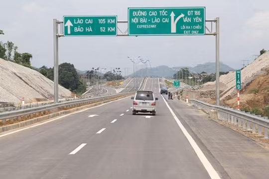 Bộ GTVT đồng ý trồng cọ dọc cao tốc Nội Bài - Lào Cai đoạn qua tỉnh Phú Thọ