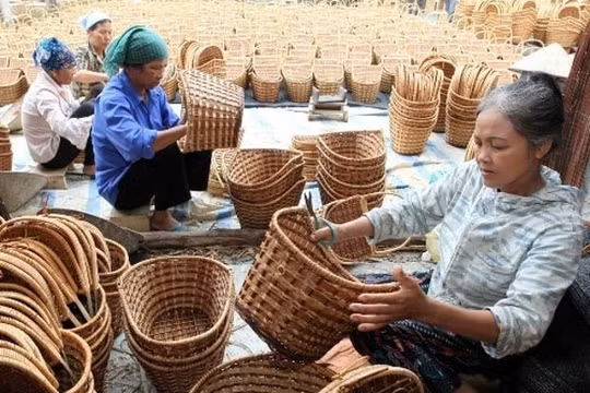 Thành lập Ban Chỉ đạo tổng kết 20 năm đổi mới, phát triển kinh tế tập thể