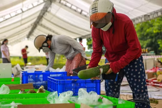 Hà Nội: Nhiều điểm bán hàng lưu động được triển khai phục vụ hàng hóa thiết yếu cho người dân