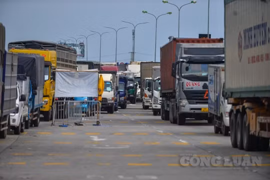 Xây dựng kế hoạch khôi phục hoạt động vận tải trên cả 5 lĩnh vực