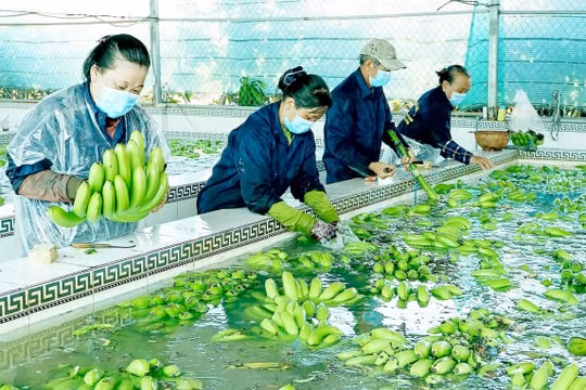 Sản xuất nông thủy sản: Cần thêm các giải pháp trọng tâm để vượt qua khó khăn
