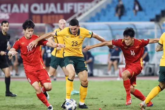 Đội tuyển Việt Nam tụt xuống 3 bậc trên BXH FIFA tháng 9